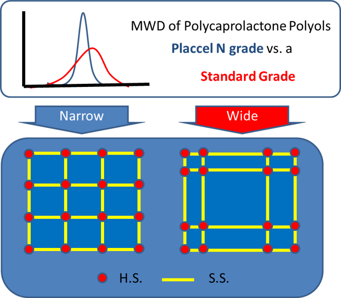 MWD-polycaprlactone-polyols-narrow-vs-standard-grade