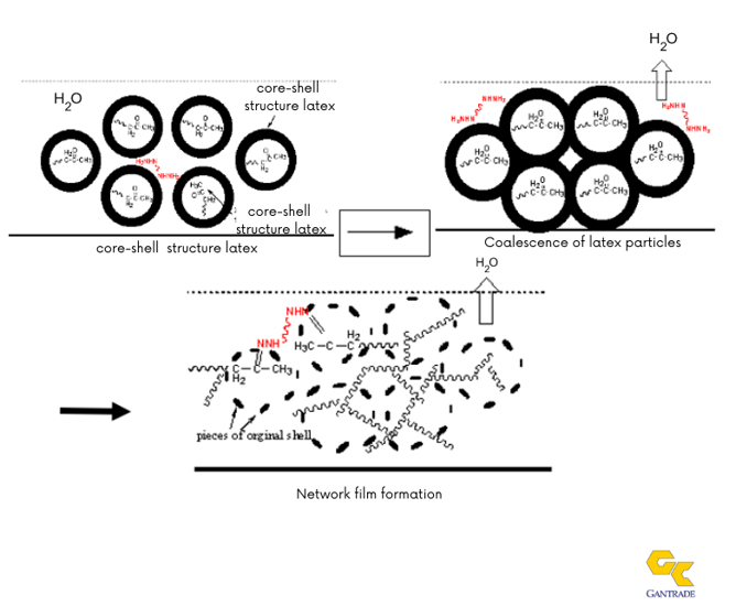 Emulsion Film Formation