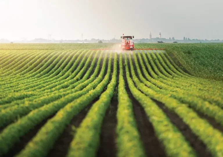agriculture